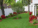 Images of Yard Landscaping Planner