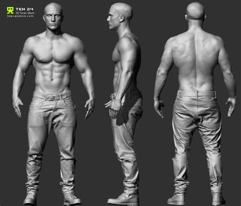 Reference Character Models Page Male Anatomy Pinterest
