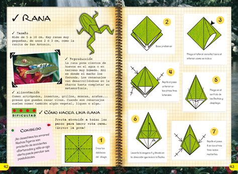 Origami Para Niños Escuela De Libsa