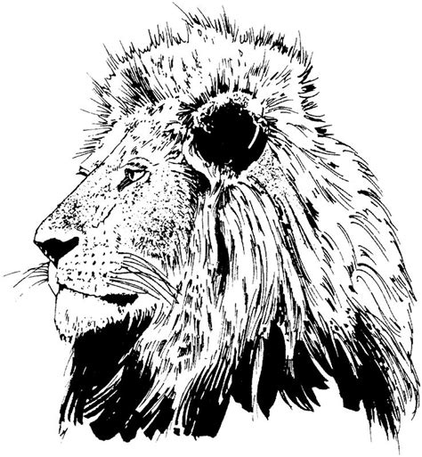 Make a coloring book with giant realistic flying tiger for one click. Realistic Lion Drawing at GetDrawings | Free download