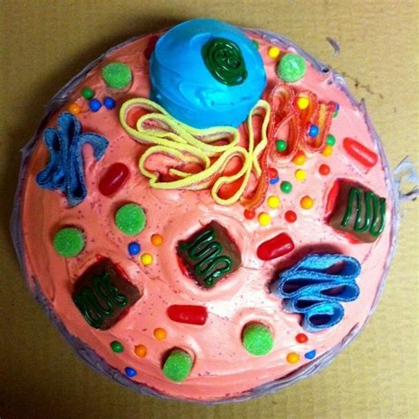 We did not find results for: Animal Cell Model Ideas for Your Science Project | Animal ...