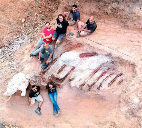 The Philippine Star On Twitter Remains Of Large Dinosaur Skeleton