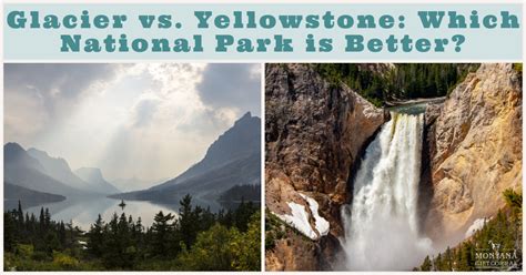 Glacier Vs Yellowstone Which National Park Is Better Montana T
