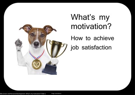 Whats My Motivation How To Achieve Job Satisfaction Teaching Resources