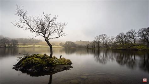Along with composition, the quality of light is perhaps the most important factor affecting the success of a landscape photograph. Making the Most of Flat Light in Landscape Photography ...