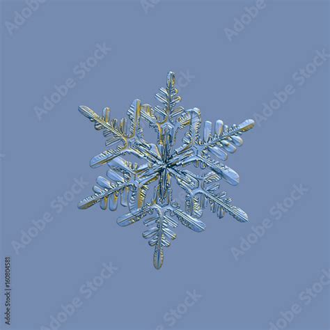 Snowflake Isolated On Uniform Blue Background Macro Photo Of Real