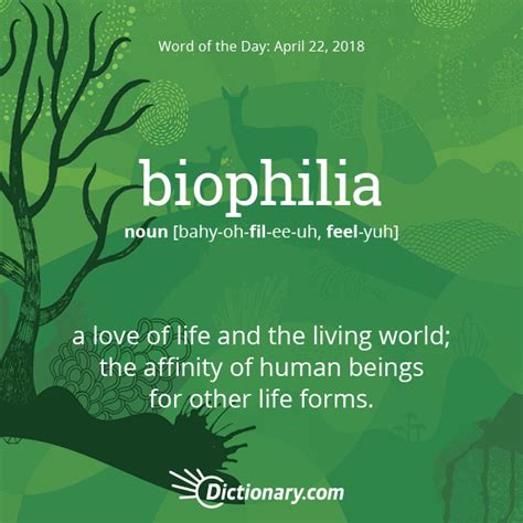 Word Of The Day Biophilia Uncommon Words