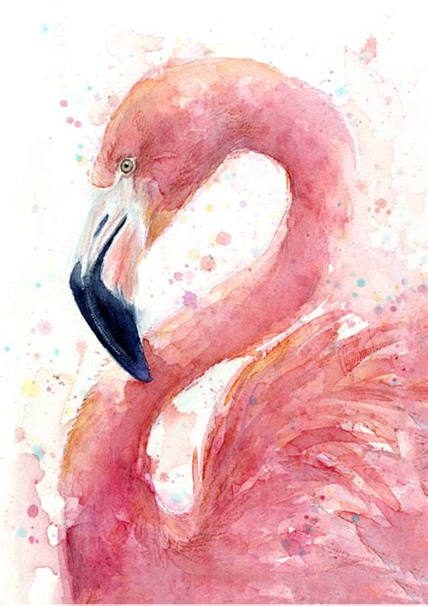 Flamingo Watercolor Painting Womens T Shirt For Sale By Olga Shvartsur