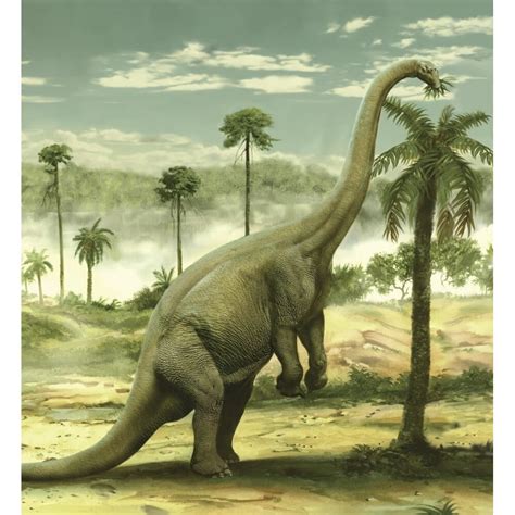 Apatosaurus Feeding On The Leaves Of A Tree Apatosaurus Also Known As
