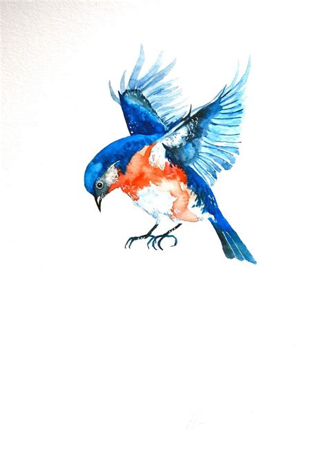 Images For Blue Bird In Flight Birds Painting Watercolor Paintings
