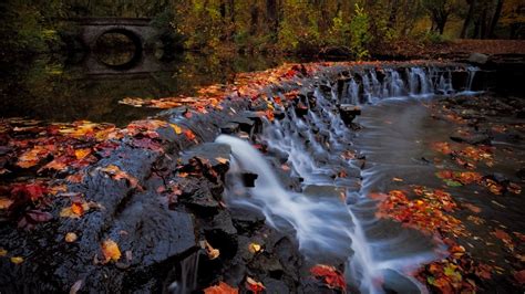 Waterfall And Foliage Trees In Forest And Bridge During Fall Hd Nature