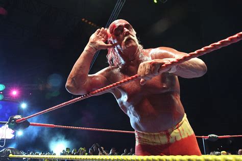 Hulk Hogan Fired By Wwe Over Racial Tirade