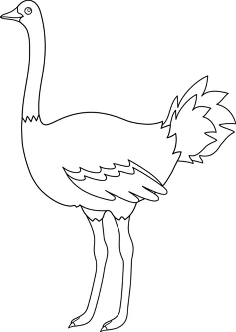 Download ostrich images and photos. Colorable Ostrich Design - Free Clip Art