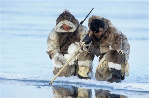 Kutub utara adalah tanah yang ekstrem. Suku Eskimo Si Penghuni Kutub Utara - Bicara Indonesia