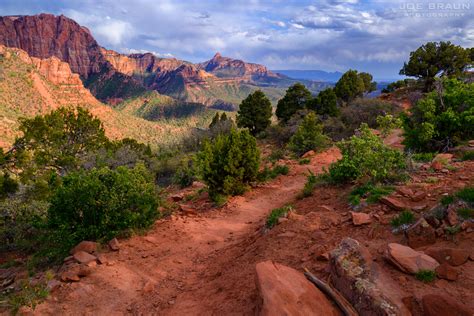 Timber Creek Overlook Trail Joes Guide To Zion National Park