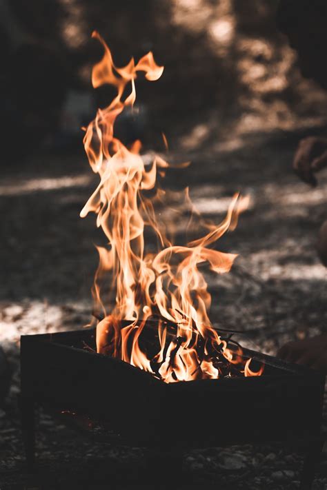 Free Images Fire Flame Heat Bonfire Campfire Ash 4000x6000