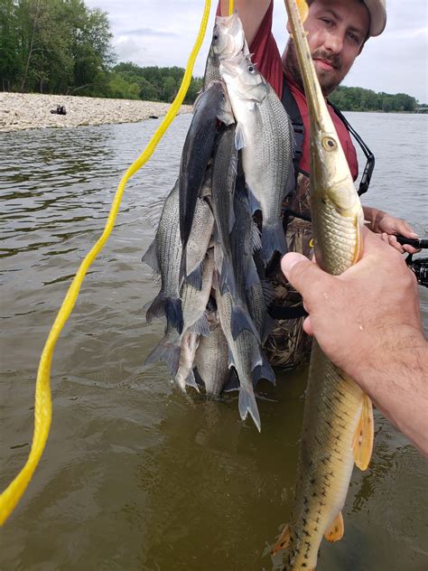 Maumee River Report27 May 21
