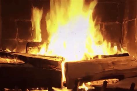 Which Netflix Fireplace Video Is Right For You