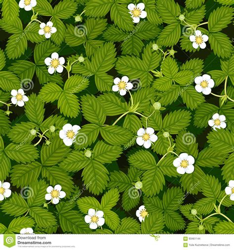Jun 09, 2021 · however, thuy said lotus seeds and flowers, as well as lotus leaves also have their functions. Naadloze Vectortextuur Van De Weide Van De De Lenteaardbei ...