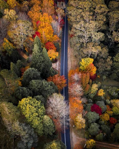 5 Spectacular Gardens In Mount Wilson For Autumn Colour — Walk My World