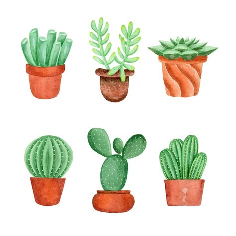 Premium Vector Collection Of Watercolor Cacti And Succulent Plants