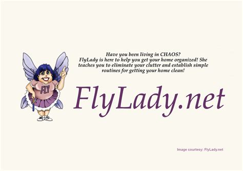 FlyLady Cleaning Surges in Popularity | The Oldish
