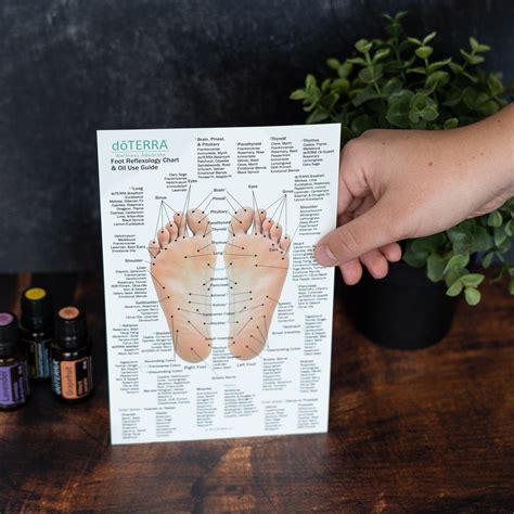 Hand And Foot Reflexology Cardstock Small 85x55 Oil Life Reviews On Judgeme
