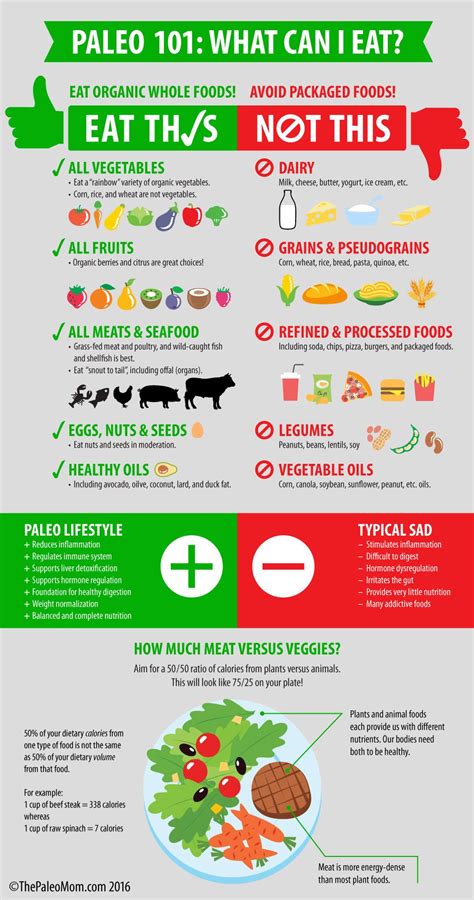The Paleo Diet — A Beginners Guide Meal Plan What Is A Paleo Diet