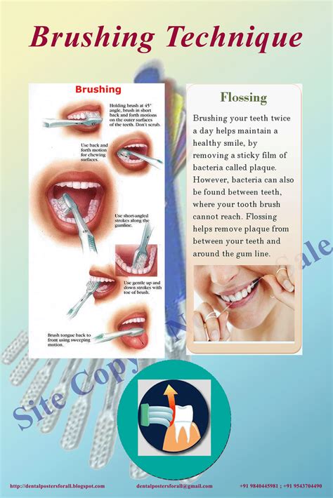 Dental Posters To Educate Patients Brushing Technique