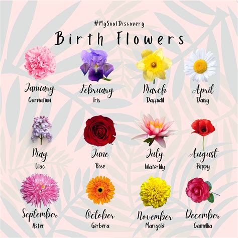 Birth Flowers By Month And Meaning Flowersandflowerthings Artofit