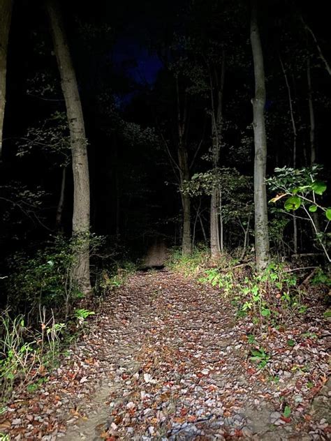 Ohio Filmmaker Investigates Possible Bigfoot Sighting In Minerva Area