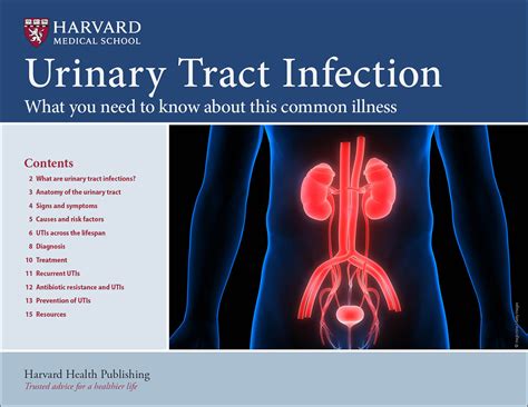 Urinary Tract Infection Harvard Health