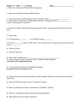 It strings together two complementary dna strands. Ch 8 Workbook Answer Key