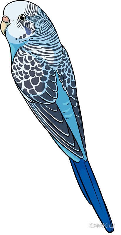 Blue Budgie Sticker By Keeskiwi Bird Art Cute Animal Drawings