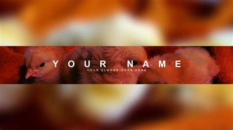 Free Chicken Youtube Banner Template 5ergiveaways