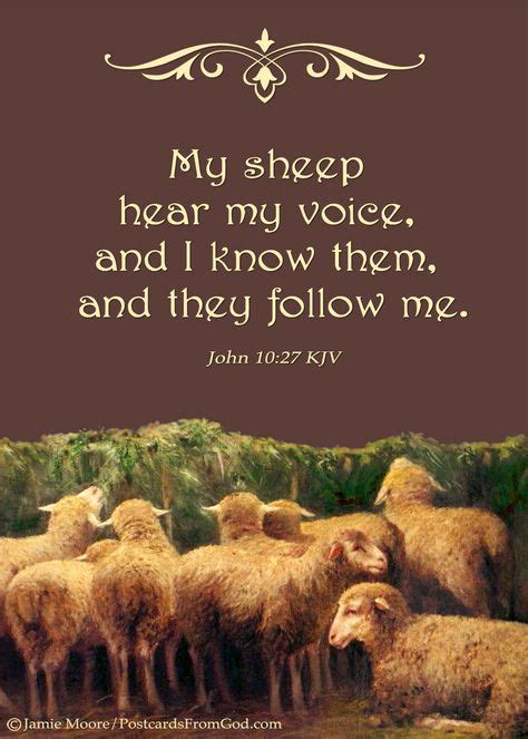 My Sheep Hear My Voice And The Path That I Take They Follow Wherever