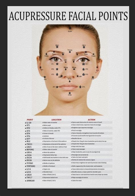 acupressure facial points poster 88 etsy