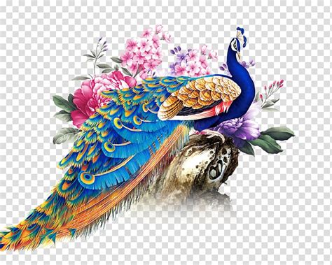 You can see the formats on the. Peacock clipart deepavali, Peacock deepavali Transparent ...