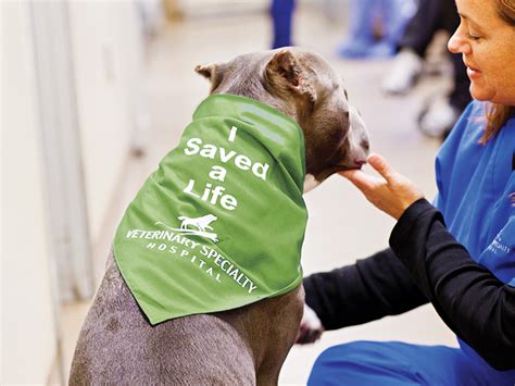 Where Can Dogs Donate Blood