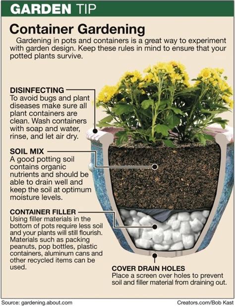 If You Are Planting In Large Pots Or Buckets Use This Method I Used