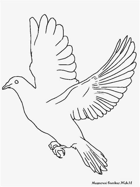 Gambar Burung Beo Kartun Hitam Putih Gambar Burung