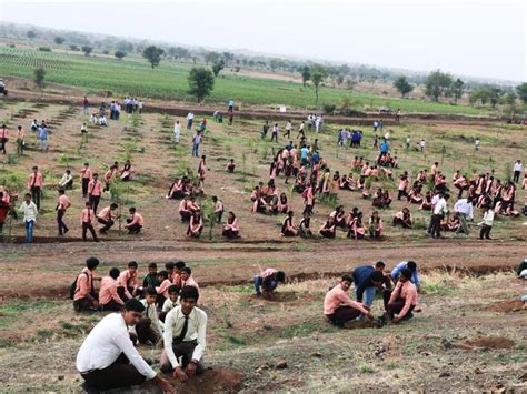 Indian Volunteers Plant 66 Million Trees In Just 12 Hours