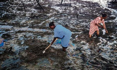 Toxic Mud Swamps Fortunes Of Niger Delta Women Years After Oil Spill