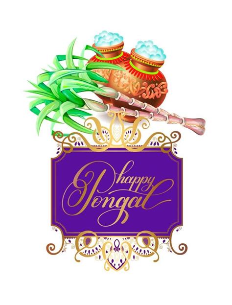 Premium Vector Happy Pongal Greeting Card To South Indian Harvest