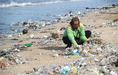 Más Del 80 De Los Residuos Encontrados En Las Playas Bonaerenses Son