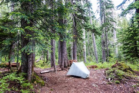 pct day 95 just another typical day roaming wild rosie