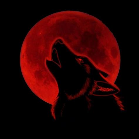 1920x1200 black wolf wallpaper for desktop hd pics>. 10 New Black Wolf With Red Eyes Wallpaper FULL HD 1080p For PC Desktop 2019
