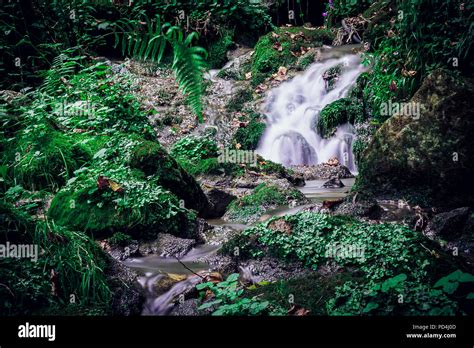 Untamednature hi-res stock photography and images - Alamy