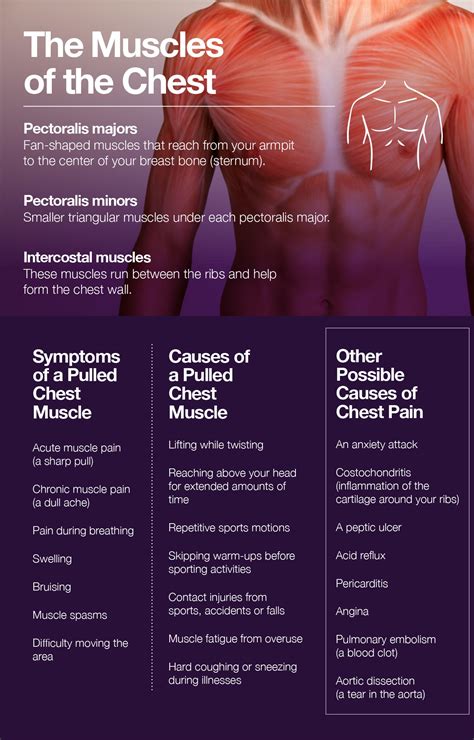 Pulled Chest Muscle Symptoms Causes And Treatment