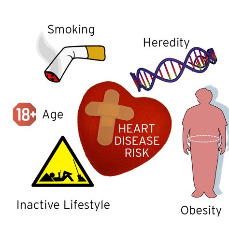 Cardiovascular Disease Lifestyle Risk Factors - Cardiovascular Disease